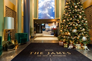 Weihnachtsbiene The James
