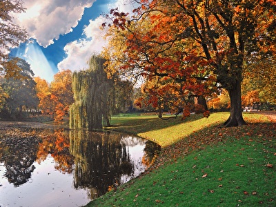 Herfst of winter in de stad